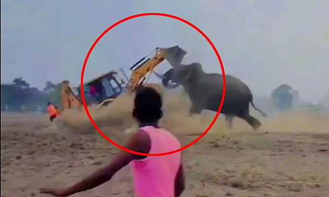 VIDEO: கிராமத்தில் நுழைந்து அட்டகாசம் செய்த யானையை ஜேசிபி கொண்டு துரத்திய மக்கள்