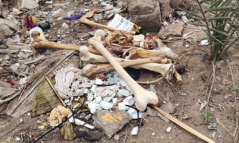 சாலை ஓரத்தில் கிடந்த எலும்புக்கூடுகள்-எலுமிச்சம் பழம்: பொதுமக்கள் பீதி