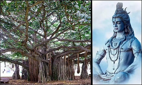 ஆலமரமே சிவபெருமானாக அருளும்  'மத்தியபுரீஸ்வரர்'
