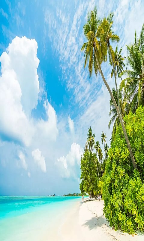 கோடை காலத்தில் தவிர்க்க வேண்டிய பழக்கங்கள்