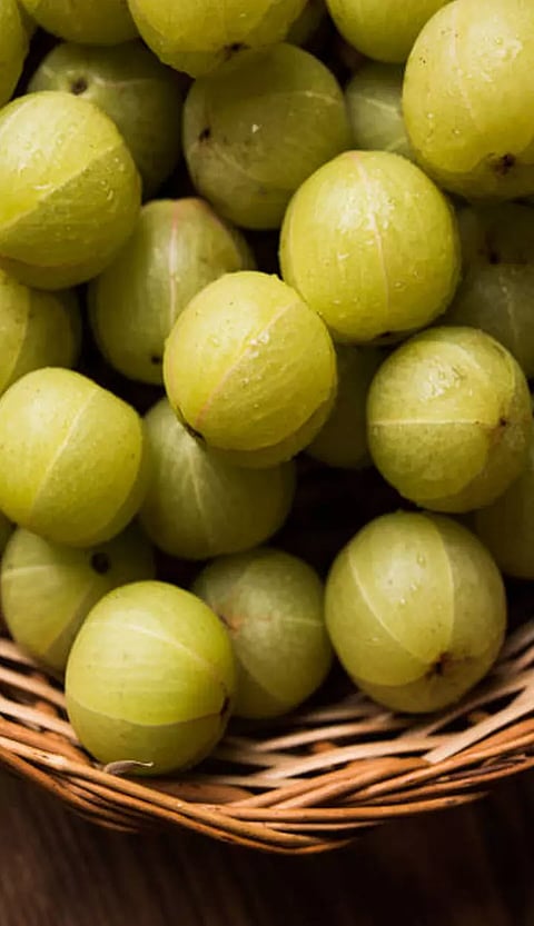இதயம் காக்கும் நெல்லி