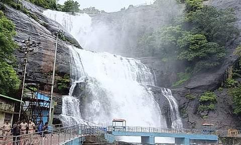 மெயின் அருவியில் தண்ணீர் ஆர்ப்பரித்து கொட்டுவதை காணலாம்.