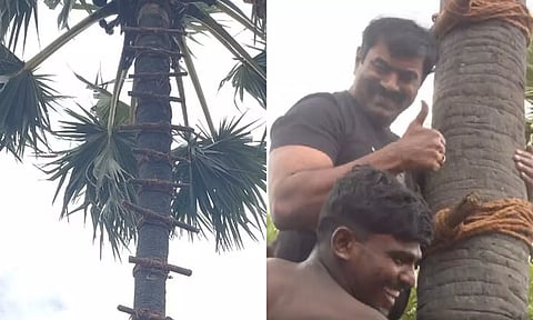 தூத்துக்குடி: கள் இறக்கும் போராட்டத்தில் பங்கேற்று பனை மரம் ஏறிய சீமான்!