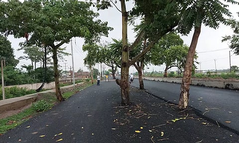 100 கோடி ரூபாய் செலவில் போடப்பட்ட சாலையின் நடுவே மரங்கள்..!