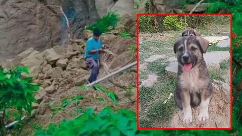நிலச்சரிவில் உருக்குலைந்த கிராமம் - சத்தம் எழுப்பி 67 பேரின் உயிர்களை காப்பாற்றிய நாய்