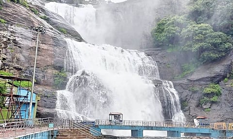 மெயின் அருவியில் தண்ணீர் ஆர்ப்பரித்து விழும் காட்சி.