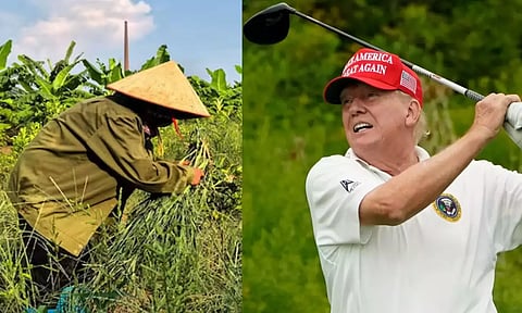 வியட்நாமில்  Golf club கட்டும் டிரம்ப் - ஆயிரக்கணக்கான விவசாயிகள் வெளியேற்றம் - சர்ச்சை