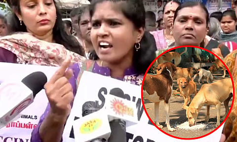 'தற்காப்புக்காகதான் தெருநாய் மனிதனை கடிக்கிறது' - திருச்சி பேரணியில் பேசிய விலங்குகள் நல ஆர்வலர்