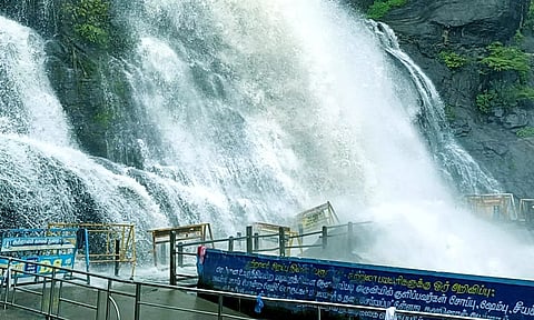 மெயினருவியில் தண்ணீர் ஆர்ப்பரித்து கொட்டுவதை காணலாம்.