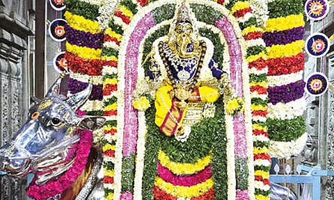 விநாயகர் சதுர்த்தி விழாவையொட்டி நேற்று 5-வது நாள் ரிஷப வாகனத்தில் கற்பகவிநாயகர் பக்தர்களுக்கு காட்சியளித்தார்.