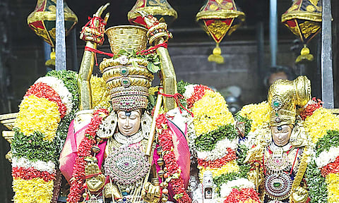 பிட்டுக்கு மண் சுமந்த கோலத்தில் பிரியாவிடையுடன் சுந்தரேஸ்வரர் பக்தர்களுக்கு அருள்பாலித்தார்.