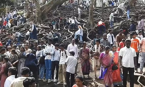 தொடர் விடுமுறை எதிரொலி- கொடைக்கானலில் குவிந்த சுற்றுலா பயணிகளால் போக்குவரத்து நெரிசல்