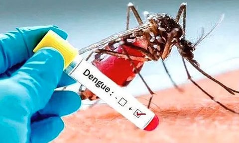 டெங்கு காய்ச்சல் பாதிப்பு இந்த ஆண்டு 20 ஆயிரமாக உயரும்- சுகாதாரத்துறை எச்சரிக்கை
