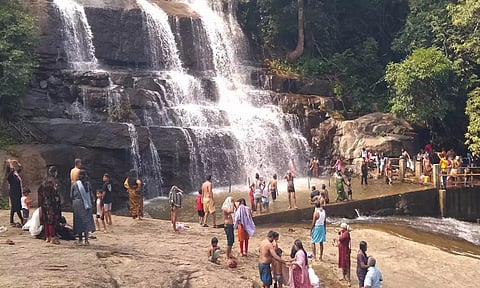 நீர்வரத்து சீரானது: மேகமலை அருவியில் குளிக்க அனுமதி - சுற்றுலா பயணிகள் மகிழ்ச்சி