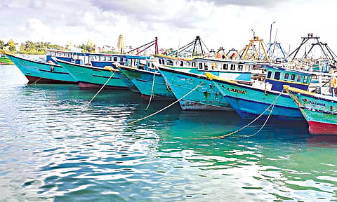 தடை காரணமாக ராமேசுவரம் துறைமுகத்தில் நங்கூரமிட்டு நிறுத்தப்பட்டுள்ள விசைப்படகுகளை காணலாம்.