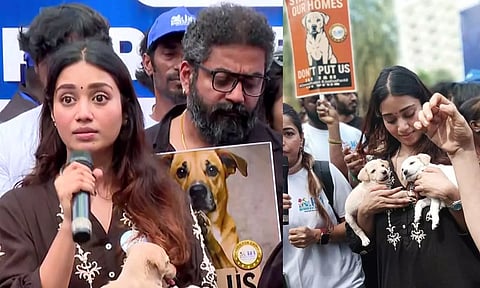 நாய் கடித்தால் அதை பெரிய விசயமாக்கி பயத்தை உருவாக்கக் கூடாது - நிவேதா பெத்துராஜ்