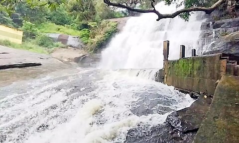 மேகமலை அருவியில் 50-வது நாளாக இன்றும் சுற்றுலா பயணிகளுக்கு தடை