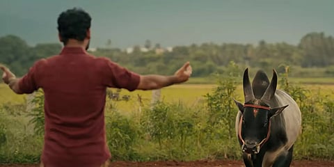 வடம்