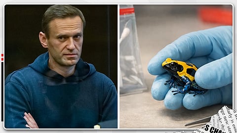 Alexei Navalny
