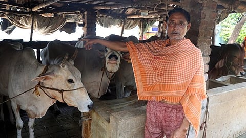 'ഭയം പടരുന്ന ബംഗാളിലെ കന്നുകാലി ചന്തകൾ';  ബിജെപി സർക്കാരിന്റെ കശാപ് വ്യവസ്ഥയില്‍ ആശയക്കുഴപ്പം 