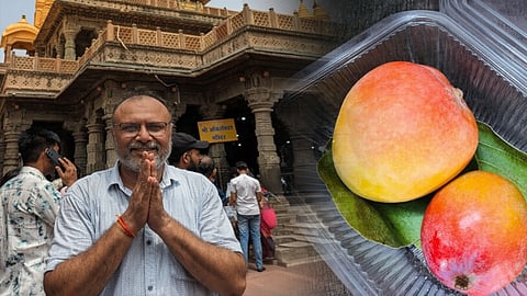 കിലോയ്ക്ക് ലക്ഷങ്ങള്‍! കാവലിന് തോക്കേന്തിയവരും 18 അല്‍സേഷ്യന്‍ നായകളും; ജബല്‍പൂരിലെ ഒരു രാജകീയ മാമ്പഴക്കഥ 