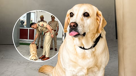 ദൃക്‌സാക്ഷിയില്ല, ക്യാമറകളില്ല; 
സാങ്കേതികവിദ്യ തോറ്റിടത്ത് 'മേരി' ജയിച്ചു; ഒരു പീഡനക്കേസിന്റെ ചുരുളഴിഞ്ഞ കഥ
