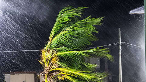 അര്‍ണബ് ചുഴലിക്കാറ്റ് കരതൊട്ടു; ആന്ധ്രയിലും ഒഡീഷയിലും കനത്ത മഴയും വ്യാപക നാശനഷ്ടങ്ങളും