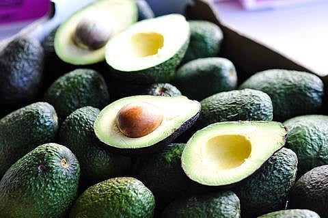 Australian Avacado 