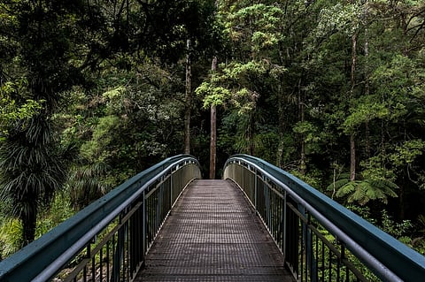 South Australia Hiking In Parks 