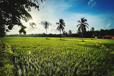 Green Tourism Initiated in Thrithala Assembly Constituency