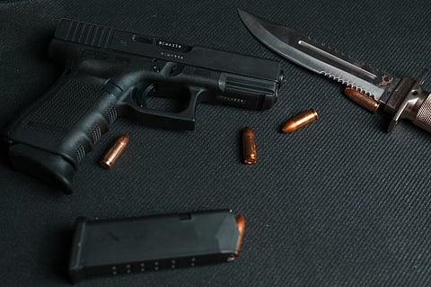 Tasmanians support tighter gun laws 