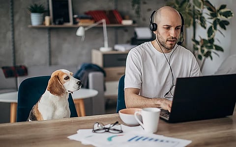 വിക്ടോറിയയിലെ പുതിയ Work From Home നിയമം: ആശങ്കയോടെ ബിസിനസ് സംഘടനകൾ