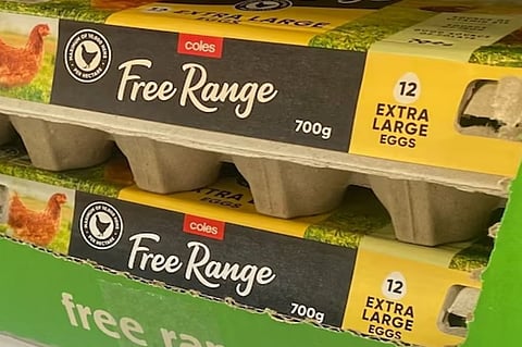 Free Range Eggs