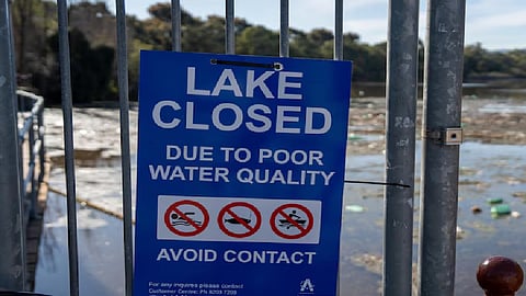 Torrens Lake 
