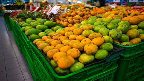 Mango season Australia