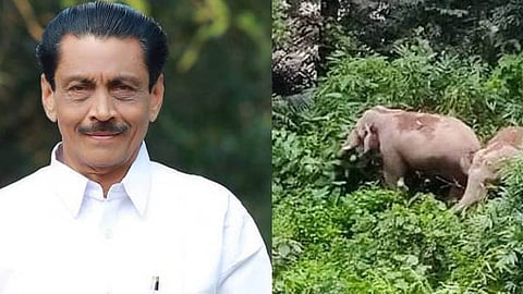 ഇനിയും സർക്കാർ കണ്ണടച്ചാൽ വേട്ടക്കാരെ ഇറക്കി കാട്ടാനകളുടെ തിരുനെറ്റിക്ക് വെടിവെയ്ക്കും; വിവാദം  
