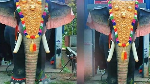 ഇരിഞ്ഞാടപ്പിള്ളി ക്ഷേത്രത്തിൽ  തിടമ്പേറ്റി റോബോട്ട് കൊമ്പൻ; ഉത്സവ എഴുന്നള്ളിപ്പിൽ ഇത് പുതുചരിത്രം