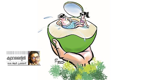 വ​രൂ! ഒ​രു ക​രി​ക്ക്
വെ​ട്ടി​ക്കു​ടി​ക്കാം!   