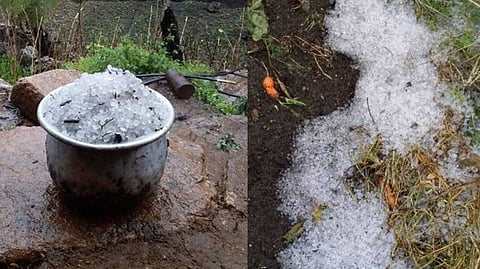 ഇടുക്കിയിൽ കുളിർമ്മയായി പെയ്തിറങ്ങി ആലിപ്പഴം; പെറുക്കിക്കൂട്ടി നാട്ടുകാർ...