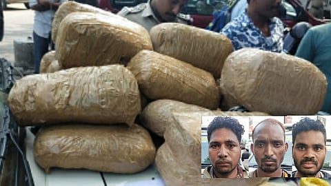 ആലുവയിൽ വൻ കഞ്ചാവ്‌ വേട്ട:  28 കിലോ കഞ്ചാവുമായി മൂന്ന് ഒഡീഷ സ്വദേശികൾ പിടിയിൽ 