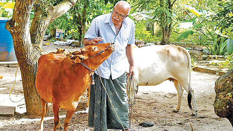 കേ​ര​ള​ത്തി​ലെ ക്ഷീ​ര ക​ർ​ഷ​ക​ർ​ക്ക് 'സ​ര​ൾ കൃ​ഷി ബീ​മാ' 