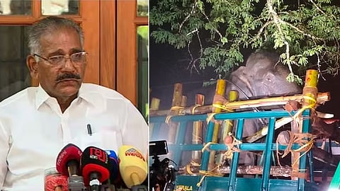 "അരിക്കൊമ്പന്‍ പൂർണ്ണ ആരോഗ്യവാന്‍; കോളർ ഐഡിയിലൂടെ നിരന്തരം നിരീക്ഷിക്കും"; മന്ത്രി എകെ ശശീന്ദ്രന്‍