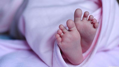 ഇടുക്കിയിൽ കമിതാക്കൾക്ക് ജനിച്ച നവജാത ശിശുവിനെ കഴുത്തുഞെരിച്ചു കൊന്നു