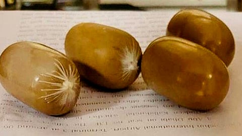 ഫയൽ ചിത്രം