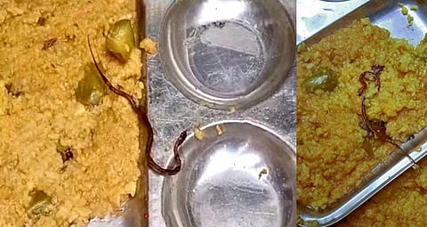 സ്കൂളിലെ ഉച്ചക്കഞ്ഞിയിൽ ചത്ത പാമ്പ്: ബീഹാറിൽ നൂറോളം വിദ്യാർഥികൾക്ക് വിഷബാധ