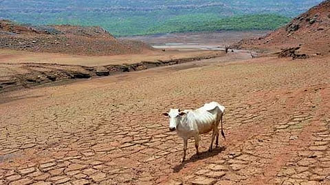 Drought