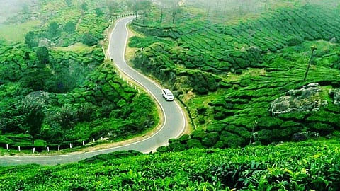 ആലുവ - മൂന്നാർ റോഡ്: ഭൂമി ഏറ്റെടുക്കൽ നടപടി തുടങ്ങുന്നു