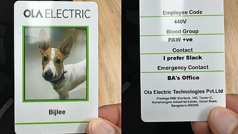 OLA New Employee Bijlee