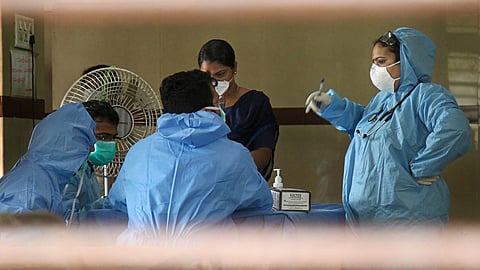 nipah virus