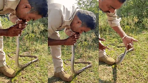 policeman gave CPR to the unconscious snake.